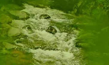 river rapid photo